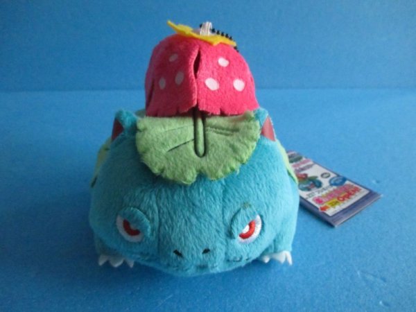 画像1: ポケットモンスター【フシギバナ　ぬいぐるみ・MYポケモンコレクション　旅立ちの仲間たち】Pocket Monsters[Venusaur Plush Toy - My Pokemon Collection - Fellow Travelers] (1)